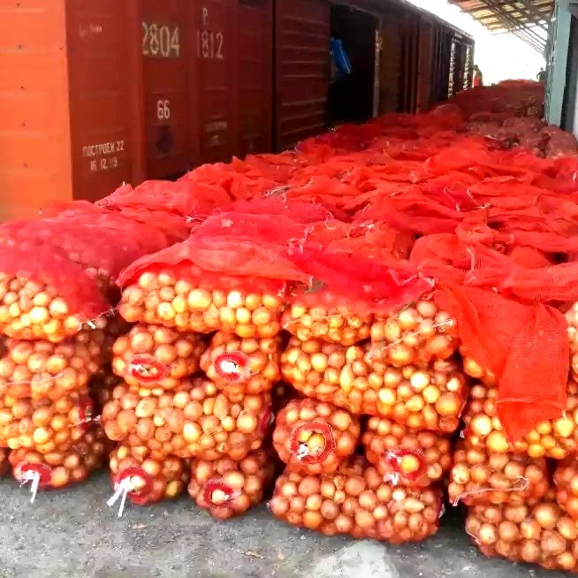 Хатлонская область экспортировала более 200 тонн сельхозпродукции
